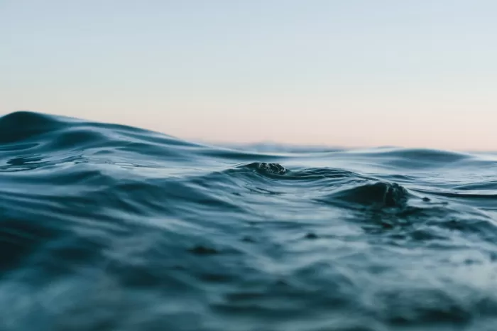 Celebrity endorsements for ocean conservation