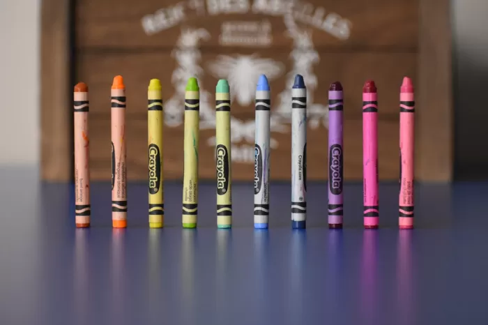 Collaborations with Schools