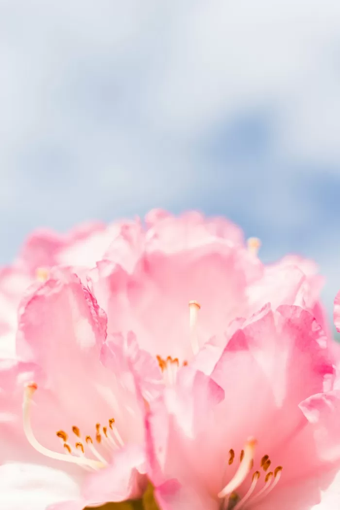 Influence on Stigma Reduction