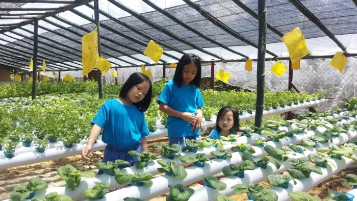 Stars Supporting Eco-Friendly Farming Methods