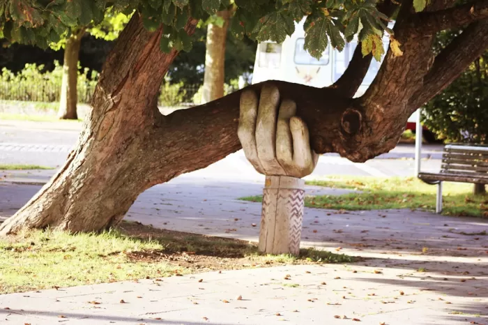 Support Systems for Victims